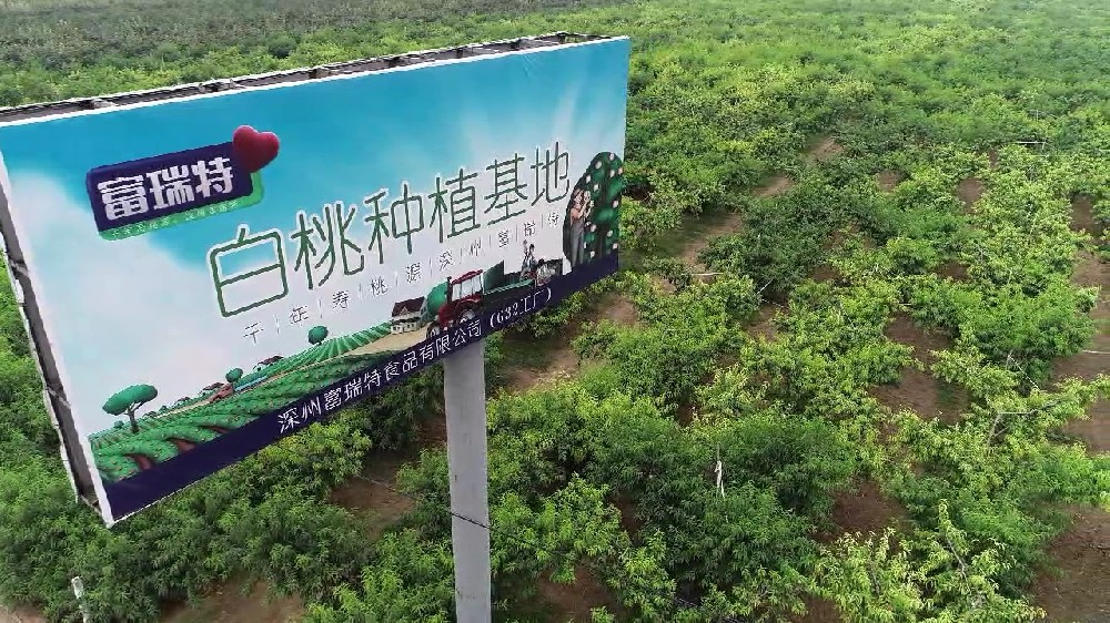 種植基地視頻展示